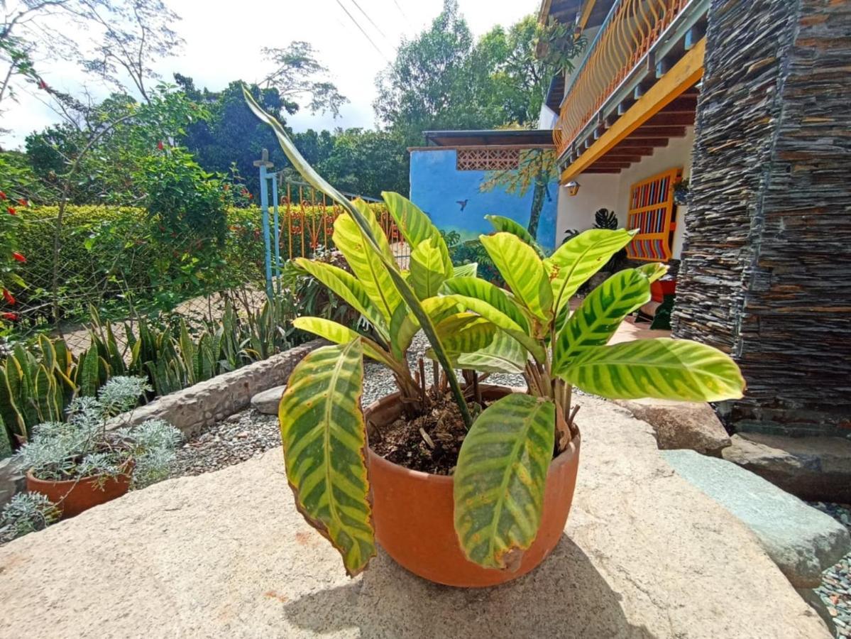 Casa De Las Rocas Hostel Jardín Zewnętrze zdjęcie
